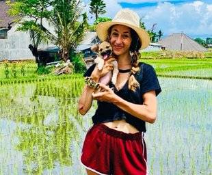 Closer 769 Pour sauver une petite chienne, une Américaine passe trois mois en Indonésie