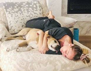 Closer 773 Gros dodog