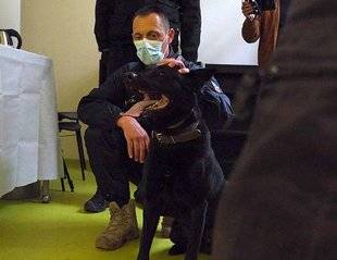 Closer 778 Des chiens renifleurs s'entraînent à dépister des malades du Covid-19