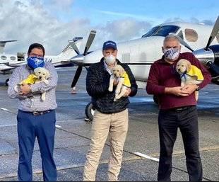 Closer 783 “On survole les Etats-Unis pour amener des chiens d'assistance aux personnes handicapées”