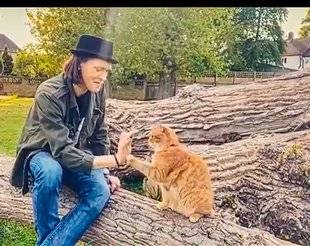 Closer 785 “Je viens de perdre le chat qui m'a sorti de la rue et m'a rendu millionnaire”