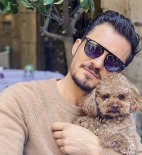 Closer 789 Le cœur brisé par la disparition de son caniche abricot