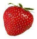 Closer 789 AVEC DES FRAISES, JE CUISINE…