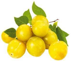 Closer 792 AVEC DES MIRABELLES DE LORRAINE, JE CUISINE …