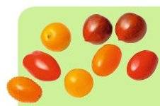Closer 795 AVEC DES TOMATES CERISES, JE CUISINE…