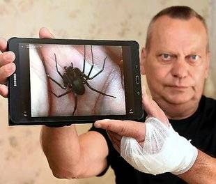 Closer 798 “J'ai été mordu par une petite araignée et j'ai frôlé l'amputation du bras”