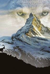 Télé Star 2213 Le plus beau pays du monde