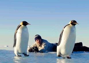 Télé Star 2218 Vincent Munier ''En Antarctique, les animaux ne connaissent pas l'homme… ''