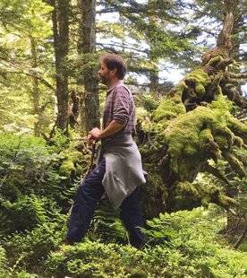 Télé Star 2228 France terres sauvages : la forêt