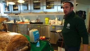 Télé Star 2237 Je pratique la PMA chez les animaux sauvages