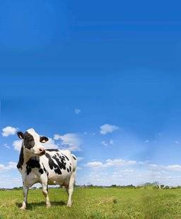 Télé Star 2238 13 nouveaux agriculteurs en quête de l'âme sœur