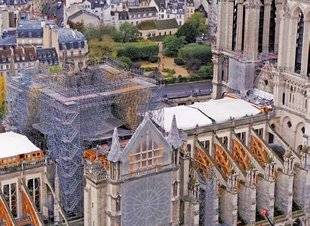 Télé Star 2250 Des racines et des ailes