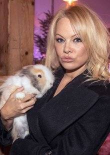 Télé Star 2252 Le coup du lapin