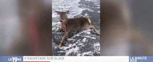 Télé Star 2257 Sauvetage sur glace