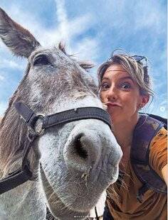 Télé Star 2548 Têtes de mule