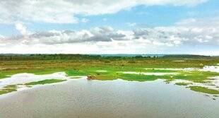 Télé Star 2551 Le vrai faux sur la baie de Somme