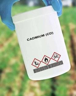 Télé Star 2553 Contamination au cadmium, ce qu'il faut savoir
