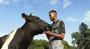 Télé Star 2564 Nolan, devenir éleveur en Bretagne…