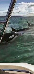 Télé Star 2566 Sauvé in extremis !