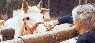 Télé Star 2566 Brigitte Bardot : en toute intimité