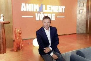Télé Star 2576 Animalement vôtre