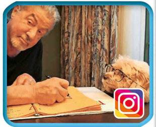 Télé Star 2577 Sylvester Stallone