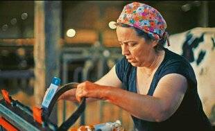 Télé Star 2577 Amélie “ Un véto soigne les bêtes et écoute leurs éleveurs ”