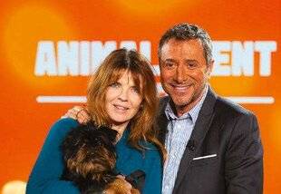 Télé Star 2577 Animalement vôtre