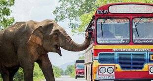 Télé Star 2579 Royaumes d'Asie