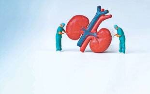 Télé Star 2579 Je prends soin de mes reins