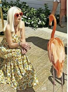 Télé Star 2581 Rencontre spéciale