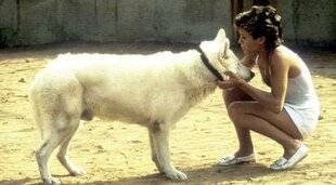 Télé Star 2581 Le Top 3 de la rédaction