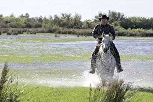 Télé Star 2582 Des racines et des ailes