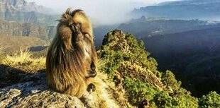 Télé Star 2584 Le Royaume des nuages