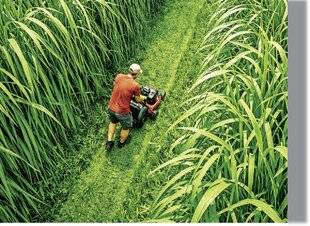 Télé Star 2584 Tondre toujours plus vert