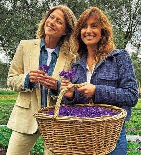 Télé Star 2585 Laëtitia Milot “ Le Sud, c’est mon porte-bonheur ”