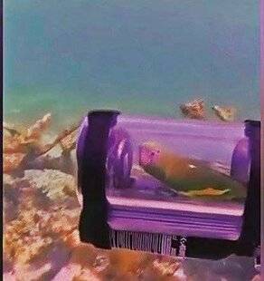 Télé Star 2586 Coco sous l'eau