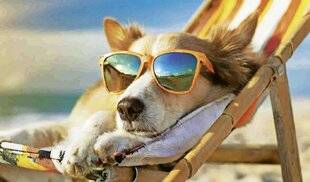 Télé Star 2596 Les précautions à prendre pour des vacances sans bobo