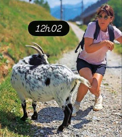 Télé Star 2601 Le bouc de midi