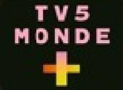 Télé Star 2601 Agence BrainstoTT