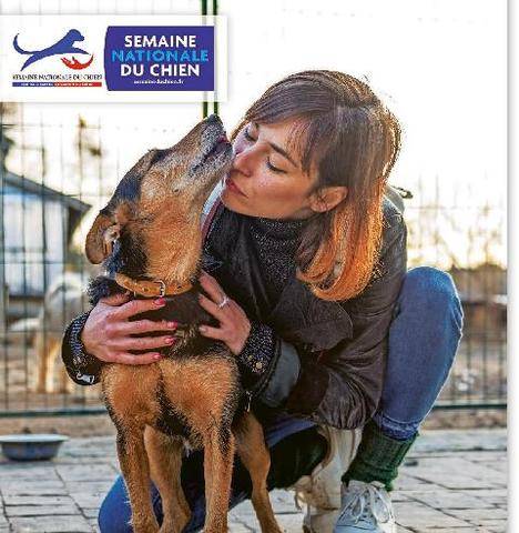 Télé Star 2607 5 conseils pour une adoption responsable