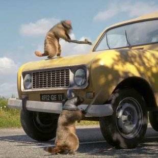 Télé Poche 2764 Laissez les marmottes tranquilles