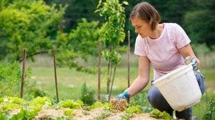 Télé Poche 2779 Désherber sans pesticides