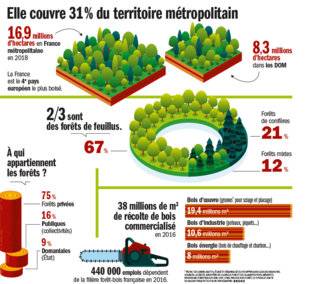 Télé Poche 2782 QUE REPRÉSENTE-T-ELLE EN FRANCE ?