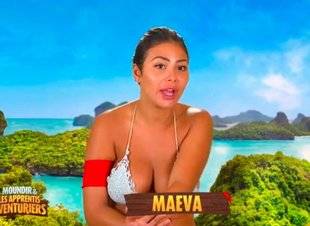 Télé Poche 2783 Langue en bois
