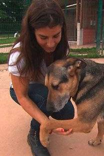 Télé Poche 2793 ANIMAUX À ADOPTER…