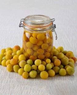Télé Poche 2793 Mirabelles à l'eau-de-vie