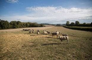 Télé Poche 2795 CES AGRICULTEURS VONT VOUS FAIRE FONDRE...