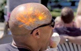 Télé Poche 2798 BIEN NOURRIR SON CERVEAU