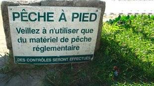 Télé Poche 2812 GRANDS REPORTERS du rire